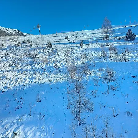 1650 - Mountain View - Snow Front 2s05 Lägenhet *