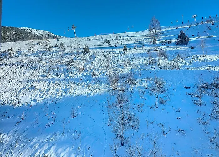 1650 - Mountain View - Snow Front 2s05 公寓 *